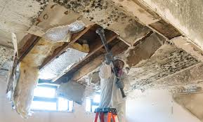 Best Environmental Consulting for Mold Prevention  in Pineville, KY